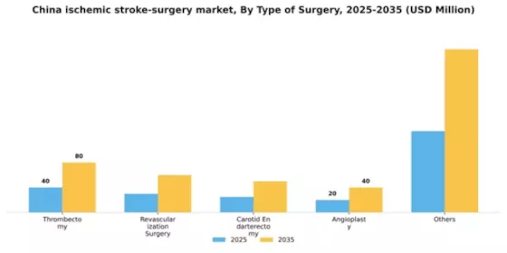 China Ischemic Stroke Surgery Market Segment Image 2