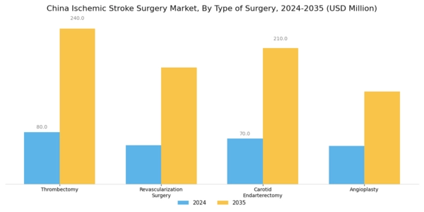 China Ischemic Stroke Surgery Market Segment Image 0