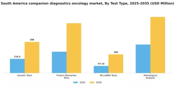 South America Companion Diagnostics Oncology Market Segment Image 3