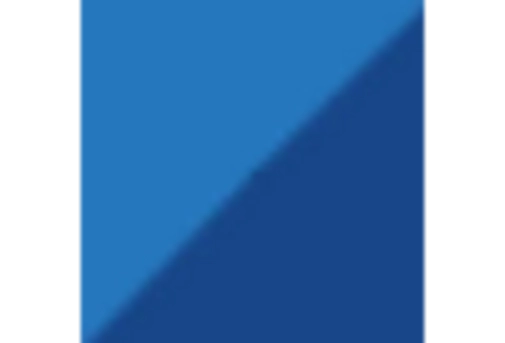 France Biomaterial Market key player