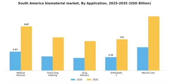 South America Biomaterial Market Segment Image 0