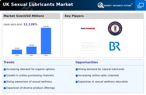 UK Sexual Lubricants Market Infographic