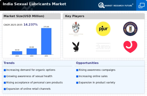 India Sexual Lubricants Market Infographic