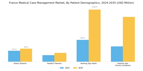 France Medical Case Management Market Segment Image 3