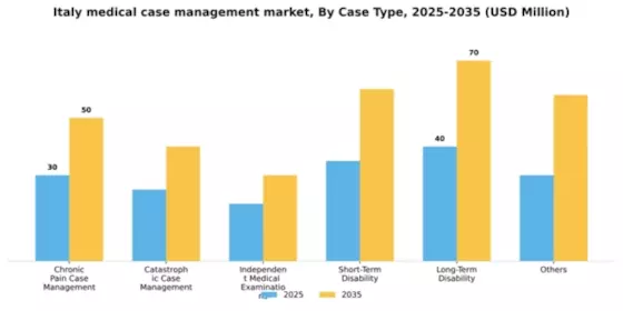 Italy Medical Case Management Market Segment Image 0