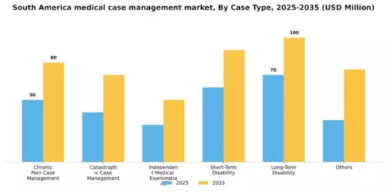 South America Medical Case Management Market Segment Image 0