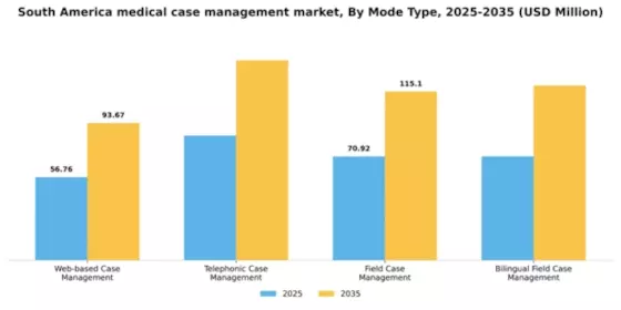 South America Medical Case Management Market Segment Image 2