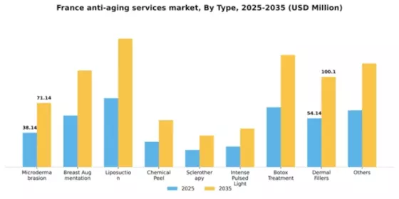 France Anti Aging Services Market Segment Image 1