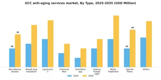 GCC Anti Aging Services Market Segment Image 1