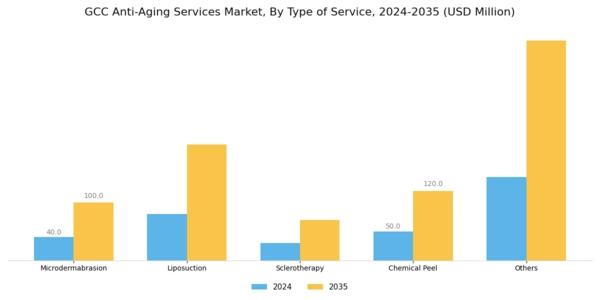 GCC Anti Aging Services Market Segment Image 0