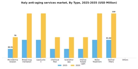 Italy Anti Aging Services Market Segment Image 1