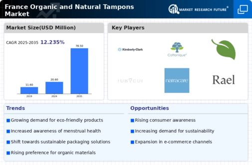 France Organic Natural Tampons Market Infographic