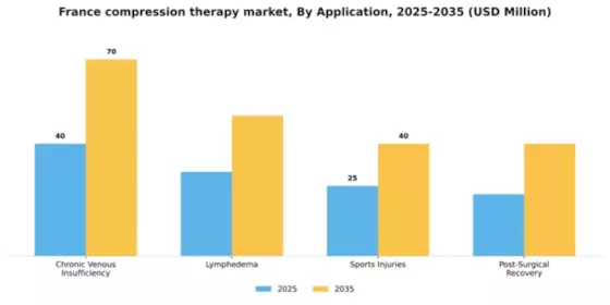 France Compression Therapy Market Segment Image 0
