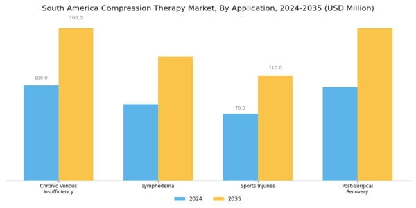 South America Compression Therapy Market Segment Image 1