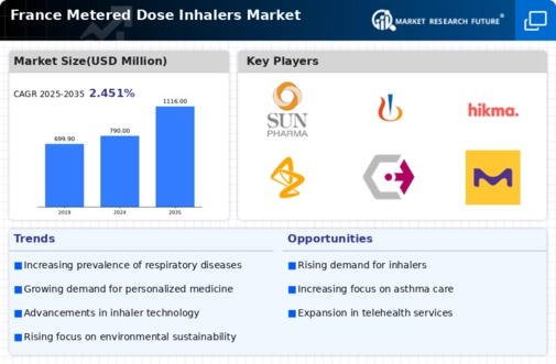 France Metered Dose Inhalers Market Infographic