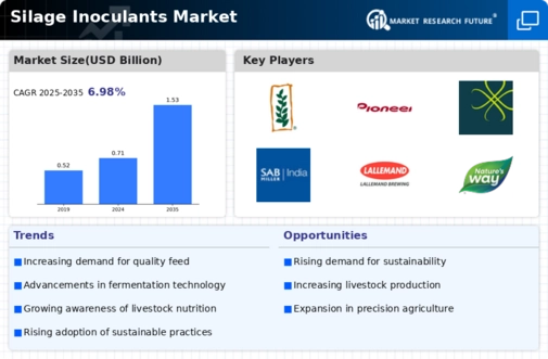 Silage Inoculants Market Infographic
