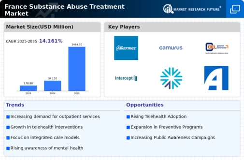 France Substance Abuse Treatment Market Infographic