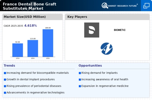 France Dental Bone Graft Substitutes Market Infographic