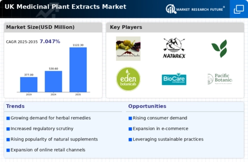 UK Medicinal Plant Extracts Market Infographic