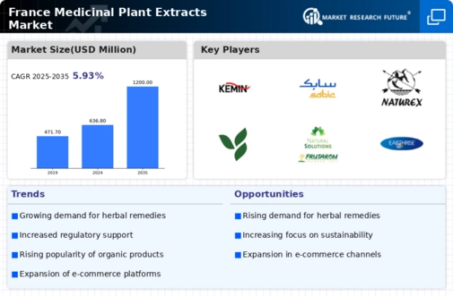 France Medicinal Plant Extracts Market Infographic