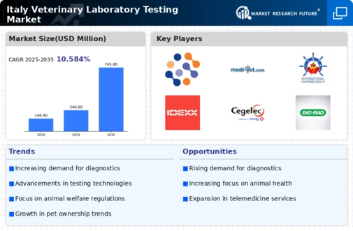 Italy Veterinary Laboratory Testing Market Infographic