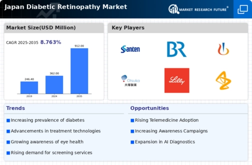 Japan Diabetic Retinopathy Market Infographic