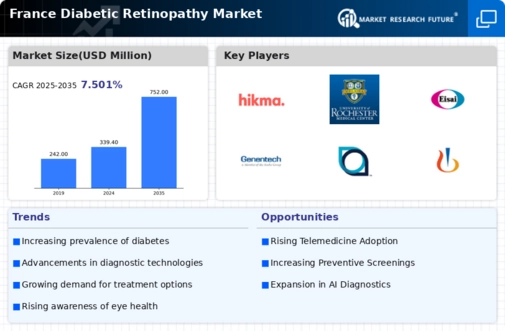 France Diabetic Retinopathy Market Infographic