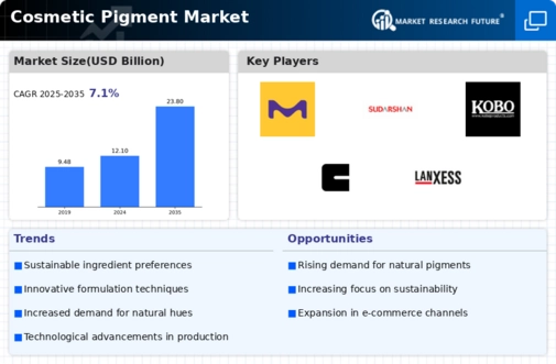 Cosmetic Pigments Market Research Report- Forecast to 2030 Infographic