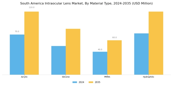 South America Intraocular Lens Market Segment Image 1