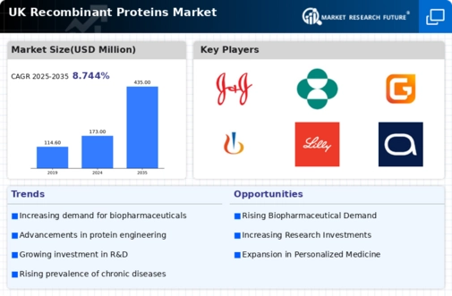 UK Recombinant Proteins Market Infographic
