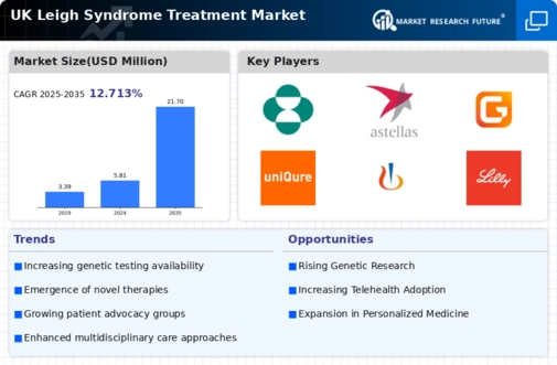 UK Leigh Syndrome Treatment Market Infographic