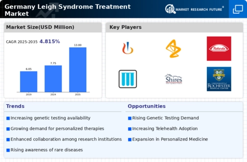 Germany Leigh Syndrome Treatment Market Infographic