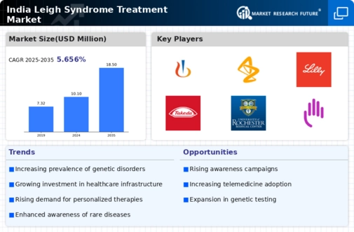 India Leigh Syndrome Treatment Market Infographic