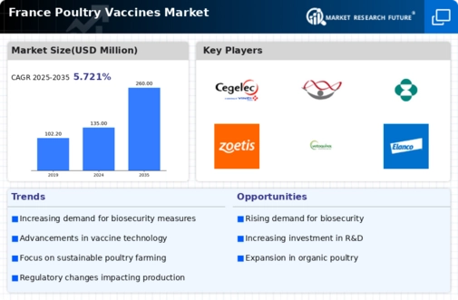 France Poultry Vaccines Market Infographic