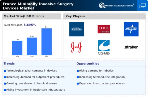 France Minimally Invasive Surgery Devices Market Infographic