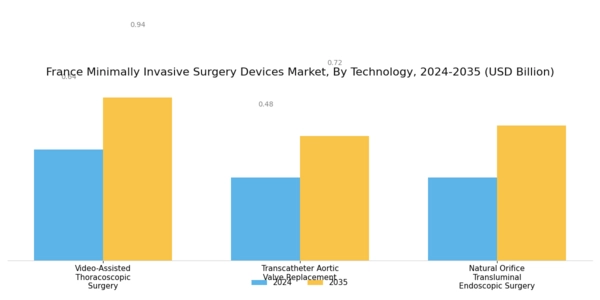 France Minimally Invasive Surgery Devices Market Segment Image 3
