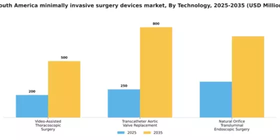 South America Minimally Invasive Surgery Devices Market Segment Image 3