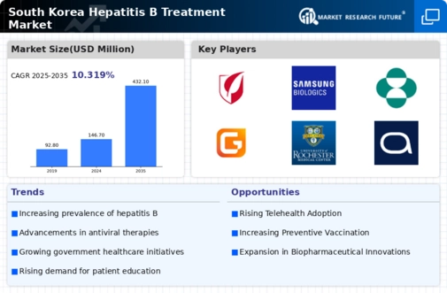 South Korea Hepatitis B Treatment Market Infographic