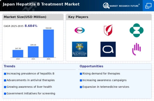 Japan Hepatitis B Treatment Market Infographic