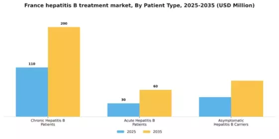France Hepatitis B Treatment Market Segment Image 2