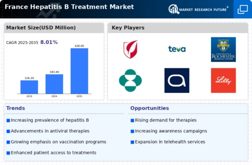 France Hepatitis B Treatment Market Infographic