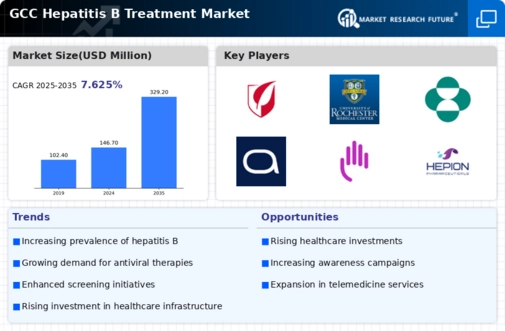 GCC Hepatitis B Treatment Market Infographic