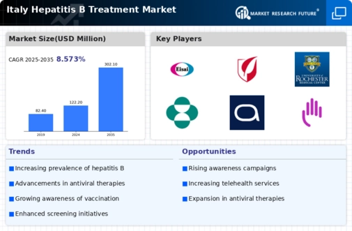 Italy Hepatitis B Treatment Market Infographic