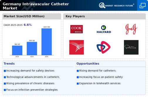 Germany Intravascular Catheter Market Infographic