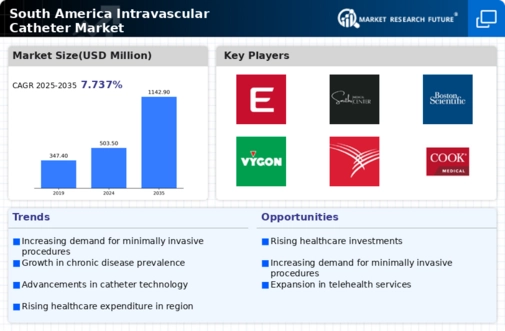 South America Intravascular Catheter Market Infographic
