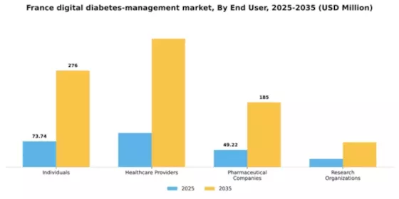 France Digital Diabetes Management Market Segment Image 1