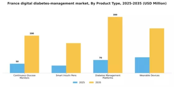 France Digital Diabetes Management Market Segment Image 2