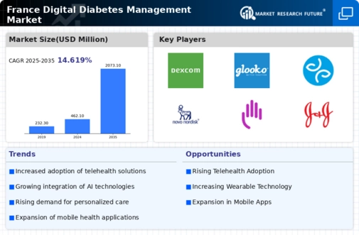 France Digital Diabetes Management Market Infographic