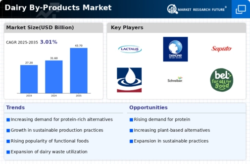 Dairy By Products Market Infographic