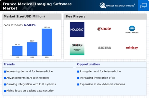 France Medical Imaging Software Market Infographic
